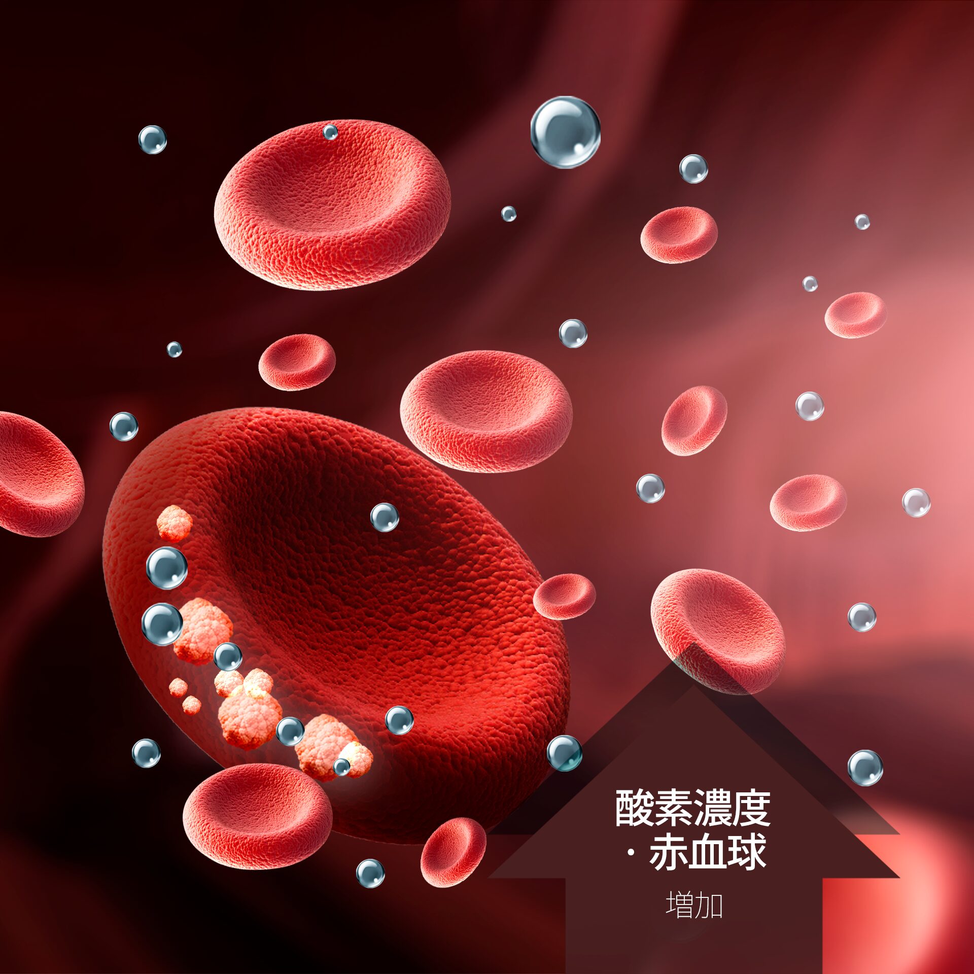 高気圧酸素治療 原理2