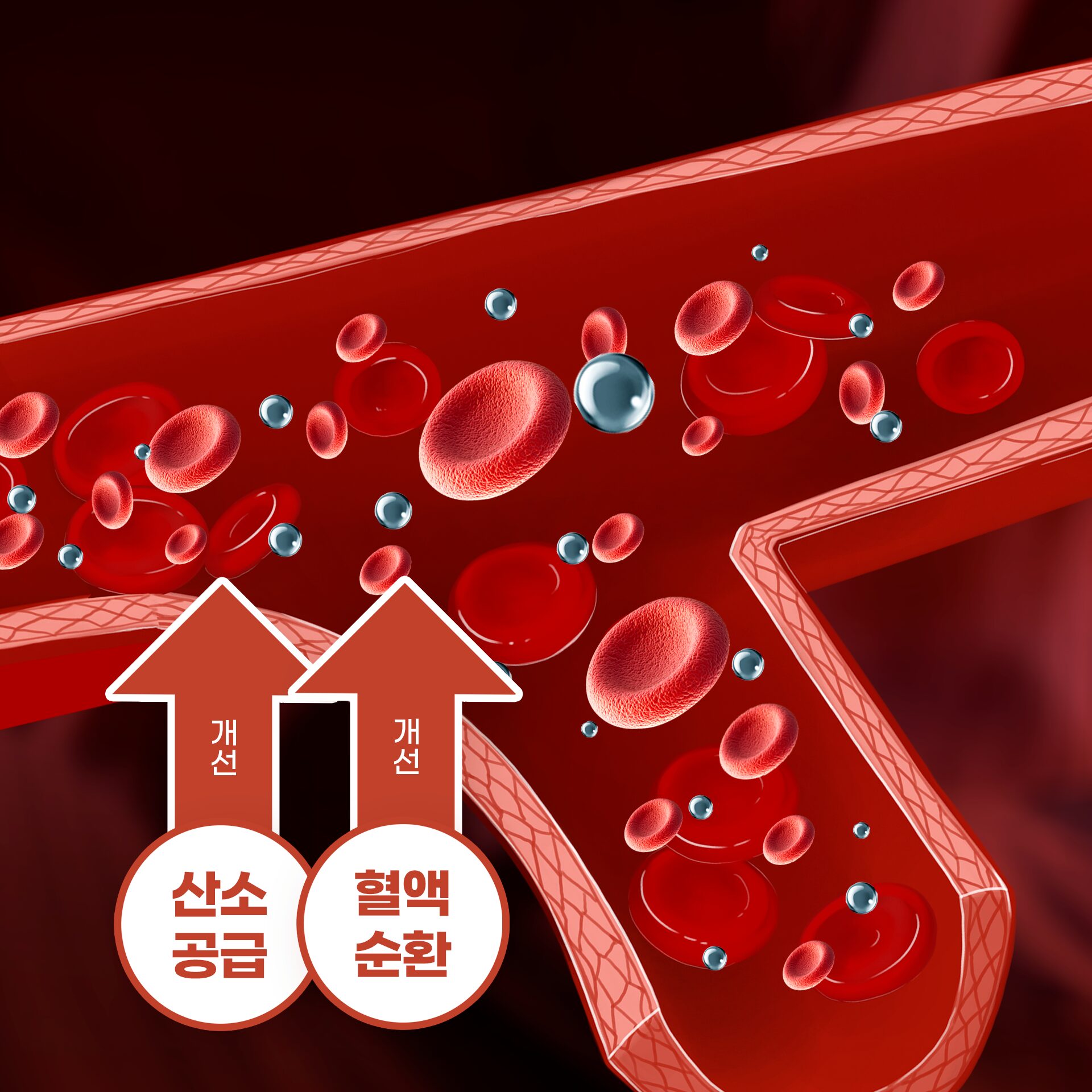 고압산소치료원리 3