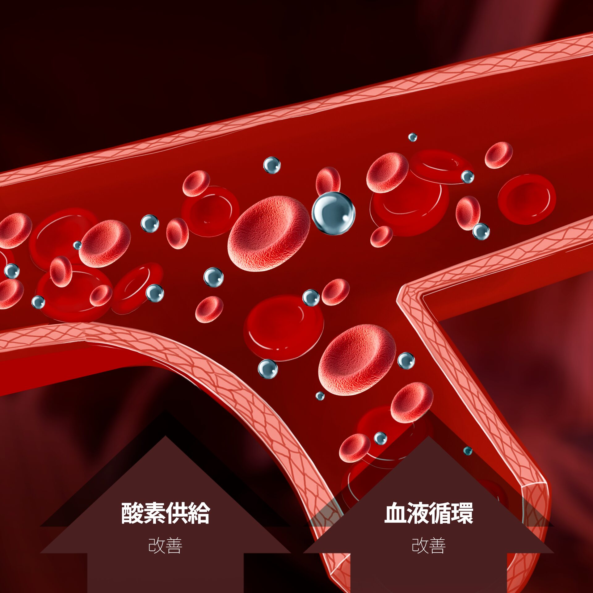 高気圧酸素治療 原理3