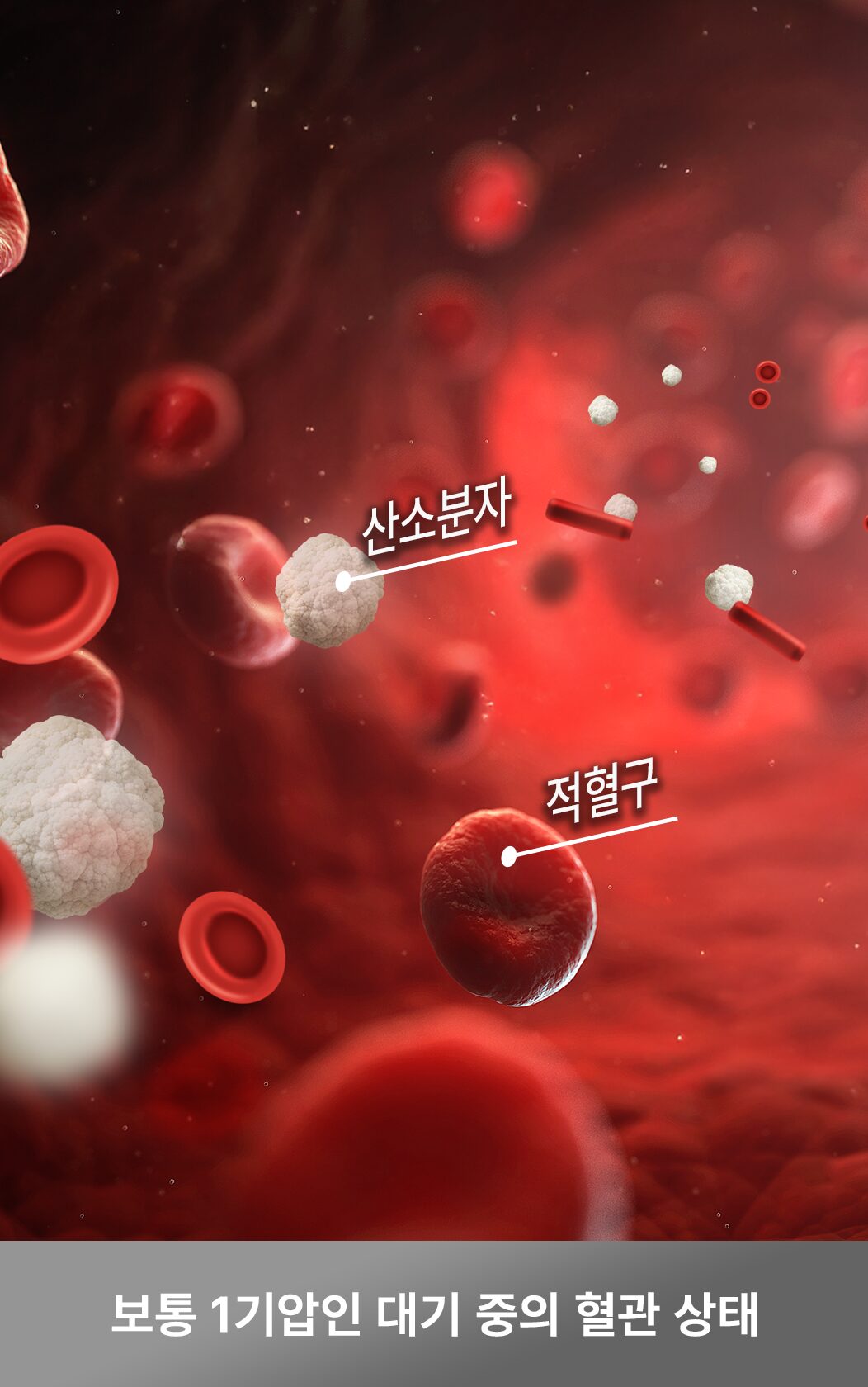 보통산소 1