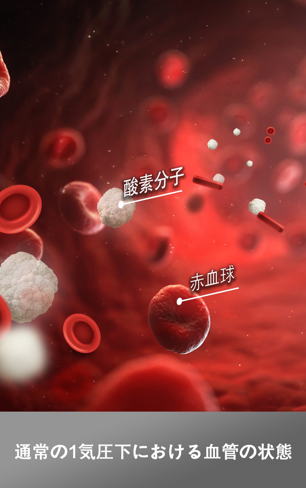 通常酸素 1